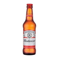Cerveja Budweiser - Long Neck